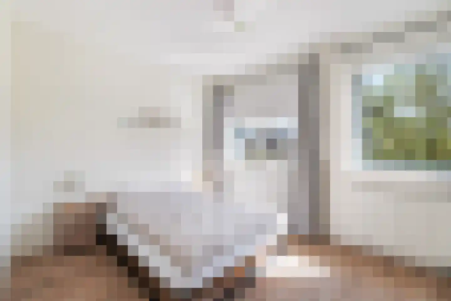 Witte Kwikstaart 8 Zevenhoven thumbnail 35