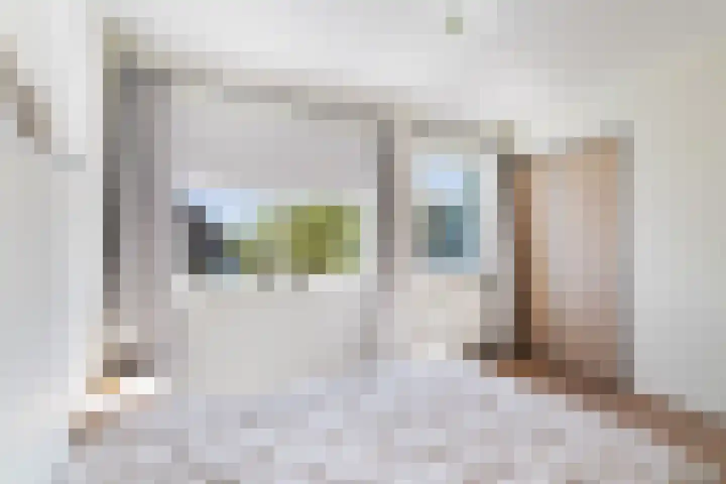 Witte Kwikstaart 8 Zevenhoven thumbnail 36