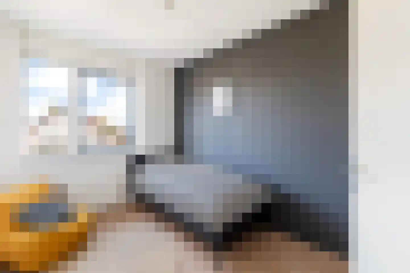 Witte Kwikstaart 8 Zevenhoven thumbnail 38