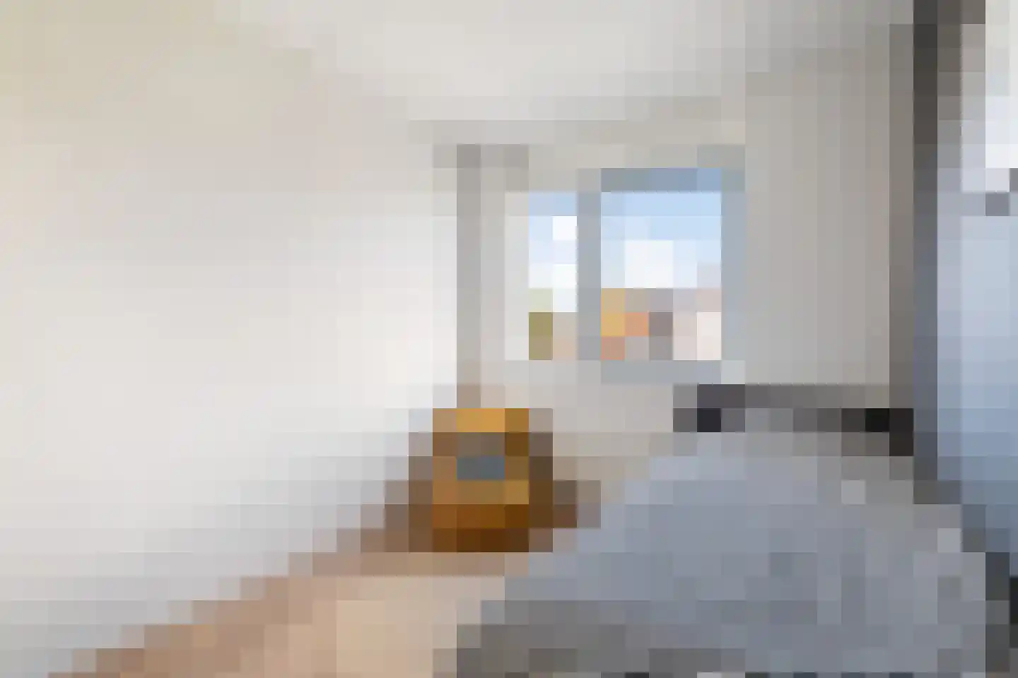 Witte Kwikstaart 8 Zevenhoven thumbnail 39
