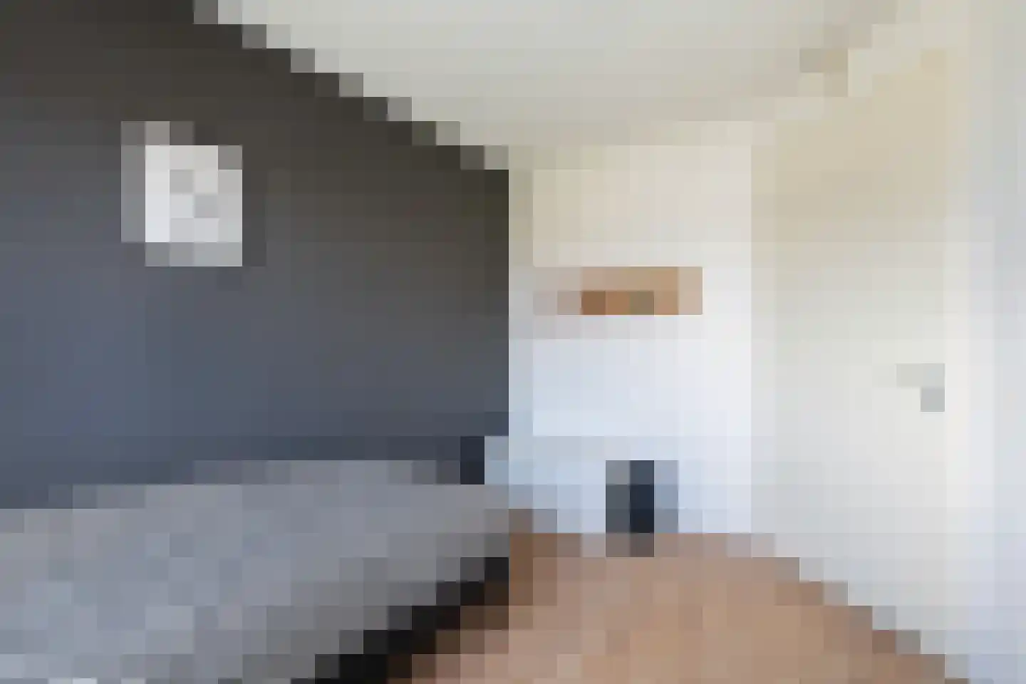 Witte Kwikstaart 8 Zevenhoven thumbnail 40
