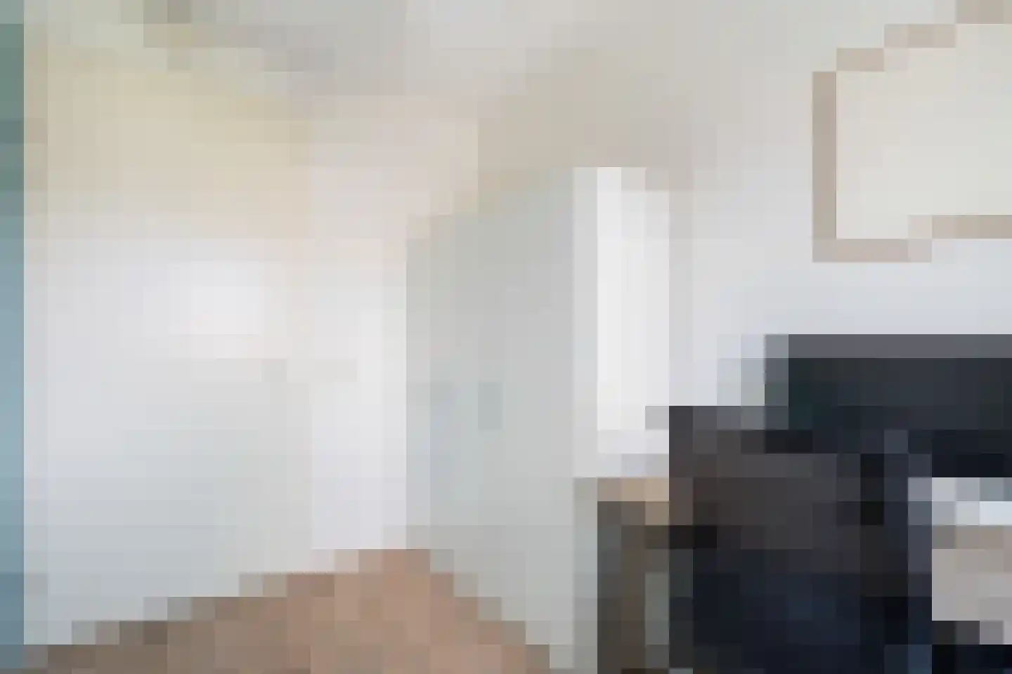 Witte Kwikstaart 8 Zevenhoven thumbnail 43