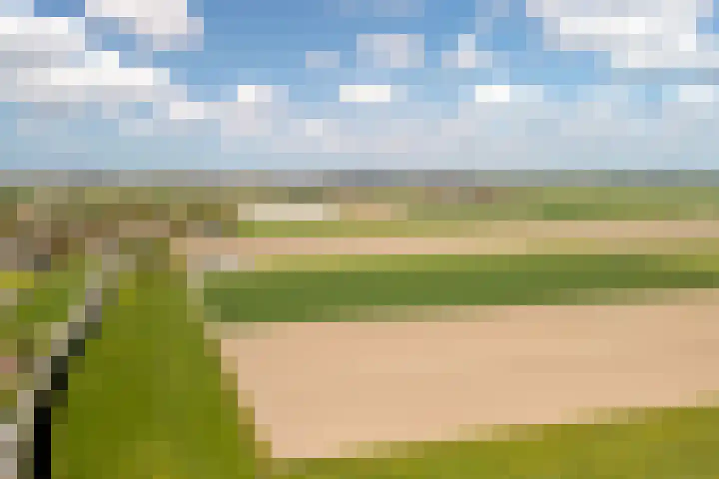 Witte Kwikstaart 8 Zevenhoven thumbnail 45