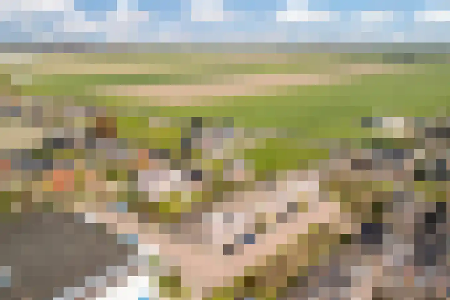 Witte Kwikstaart 8 Zevenhoven thumbnail 46