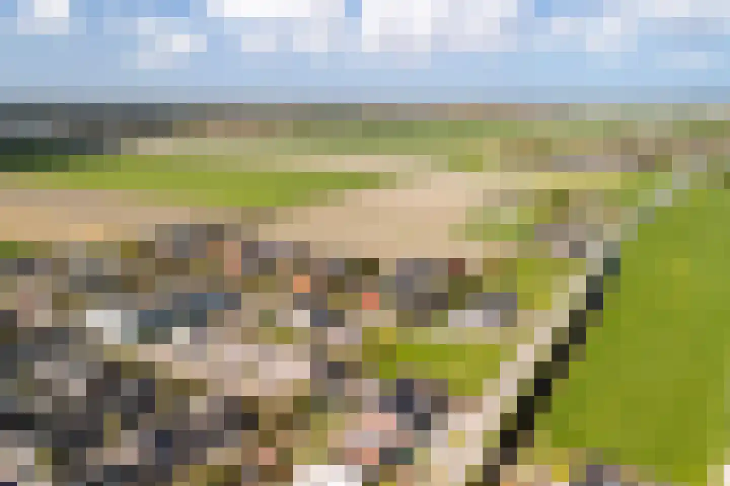 Witte Kwikstaart 8 Zevenhoven thumbnail 48