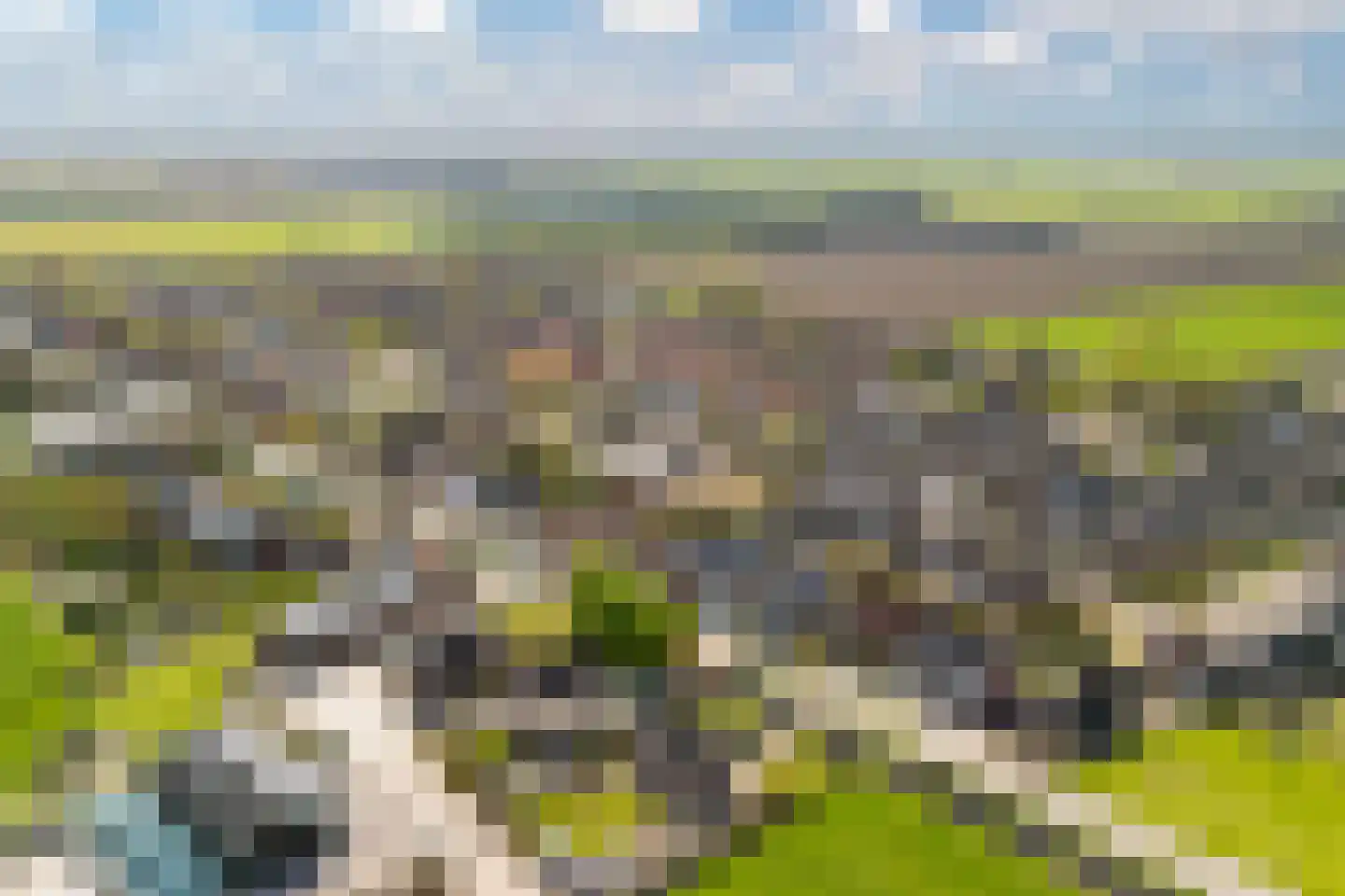 Witte Kwikstaart 8 Zevenhoven thumbnail 49