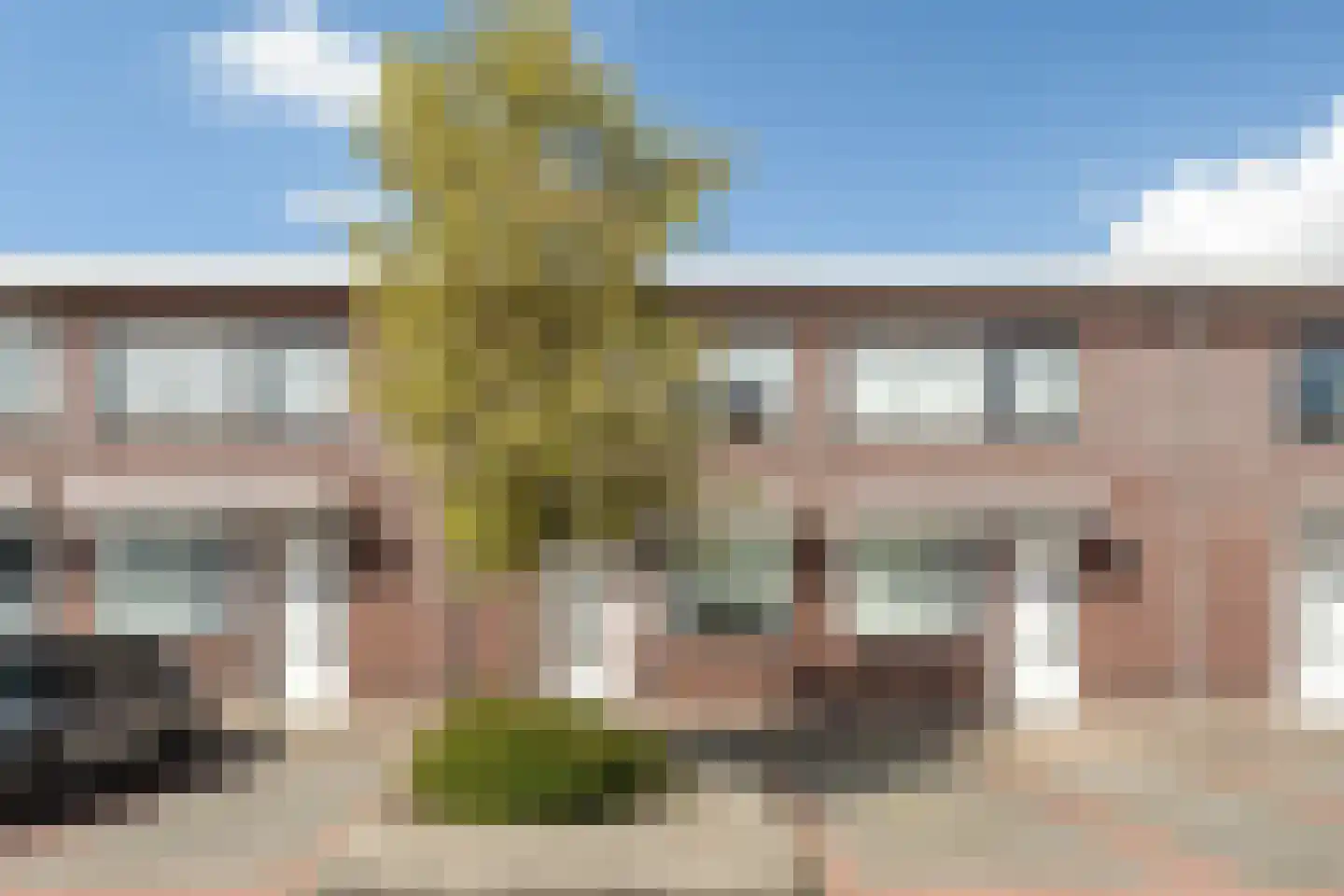Witte Kwikstaart 8 Zevenhoven thumbnail 5