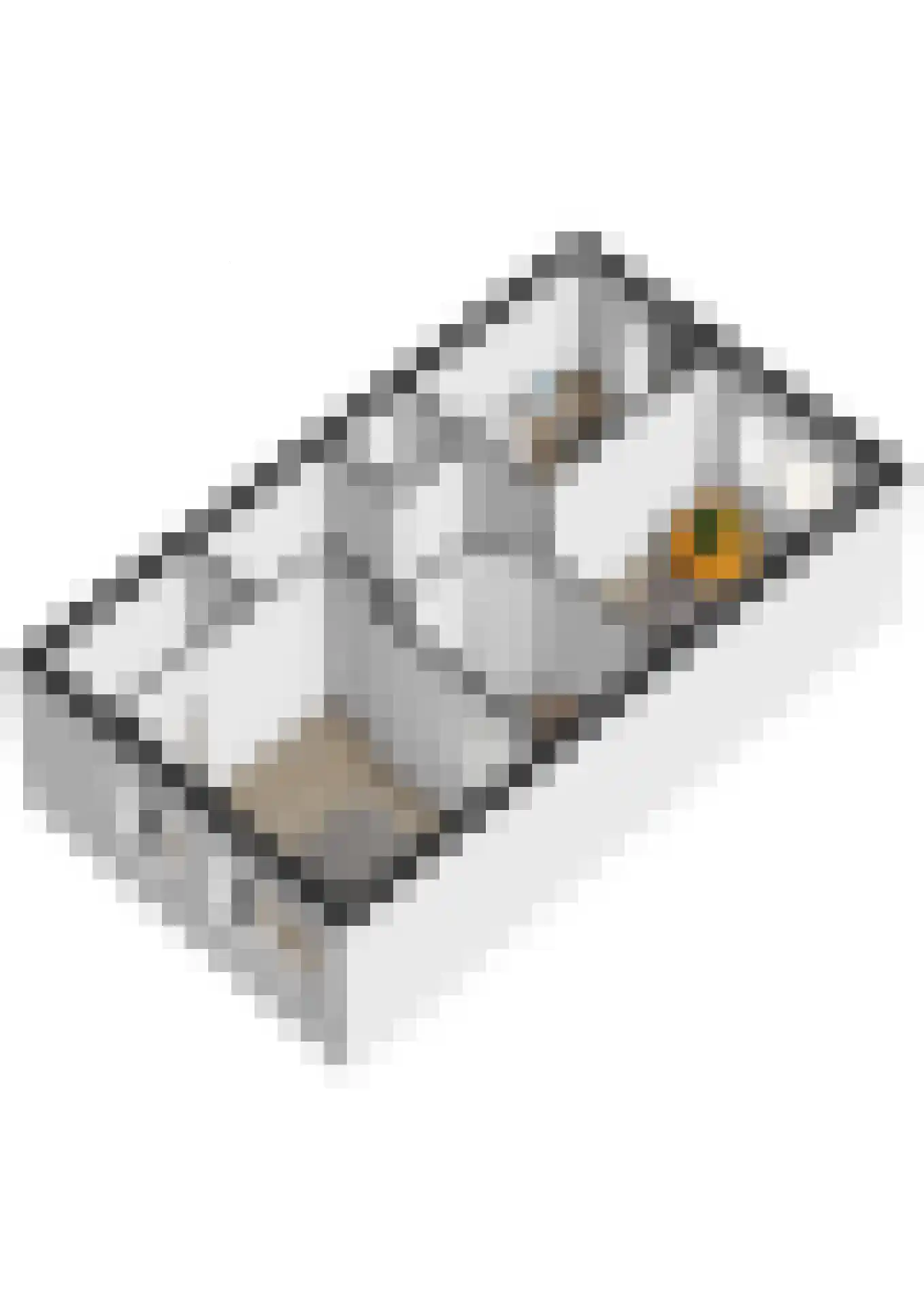 Witte Kwikstaart 8 Zevenhoven thumbnail 54