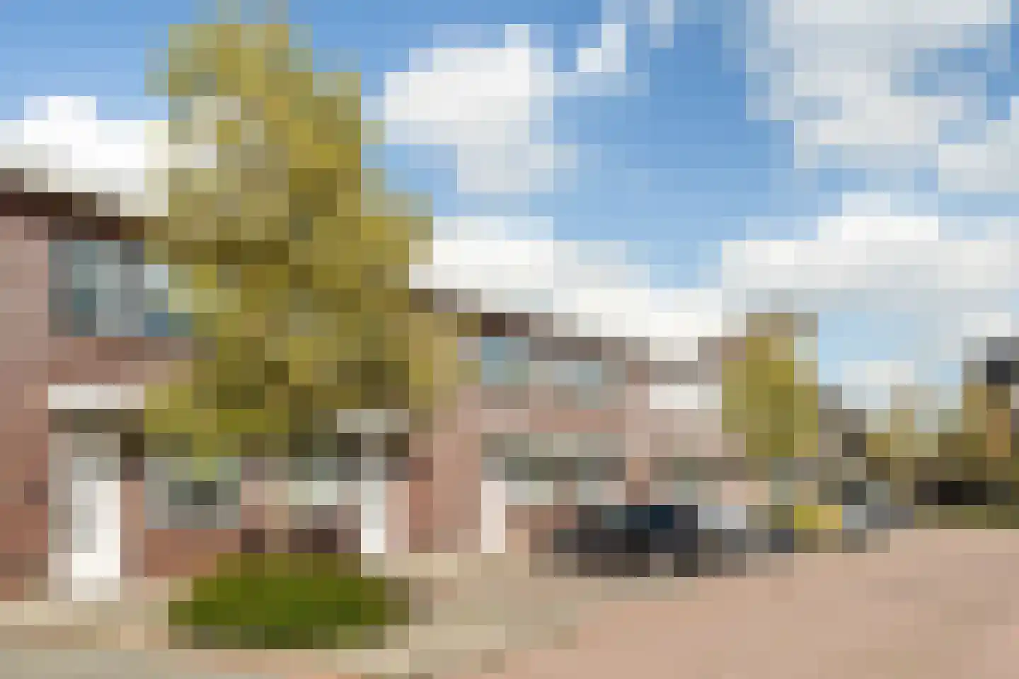 Witte Kwikstaart 8 Zevenhoven thumbnail 6