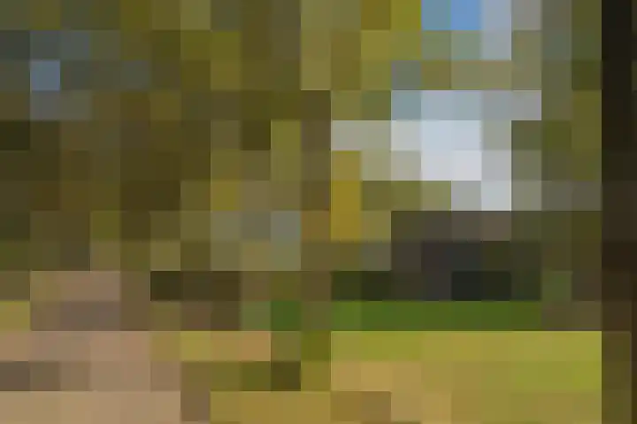 Witte Menweg 3 Geesbrug thumbnail 10
