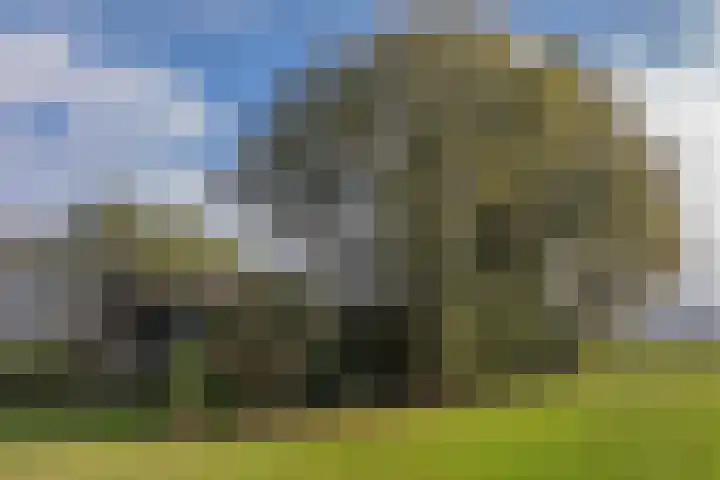Witte Menweg 3 Geesbrug thumbnail 11