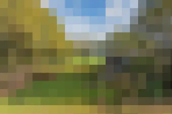 Witte Menweg 3 Geesbrug thumbnail 12