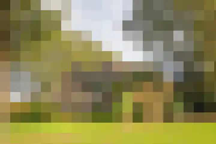 Witte Menweg 3 Geesbrug thumbnail 13