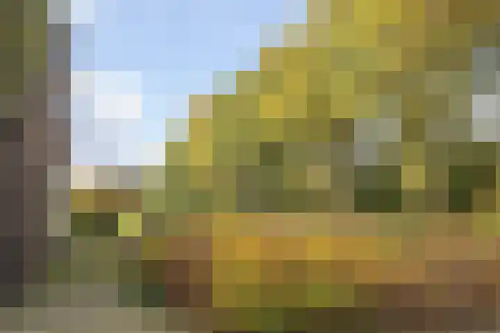 Witte Menweg 3 Geesbrug thumbnail 16