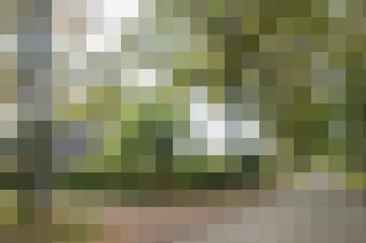 Witte Menweg 3 Geesbrug thumbnail 4