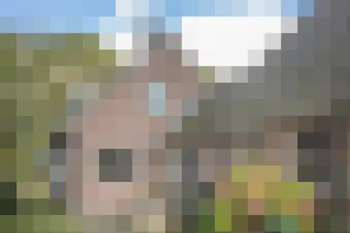 Witte Menweg 3 Geesbrug thumbnail 42
