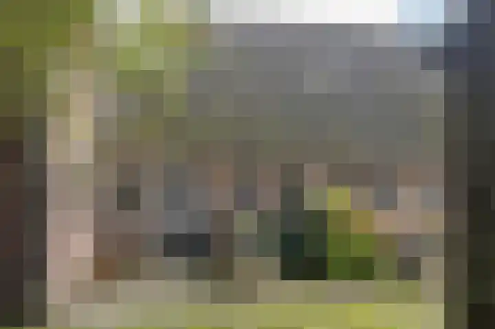 Witte Menweg 3 Geesbrug thumbnail 43