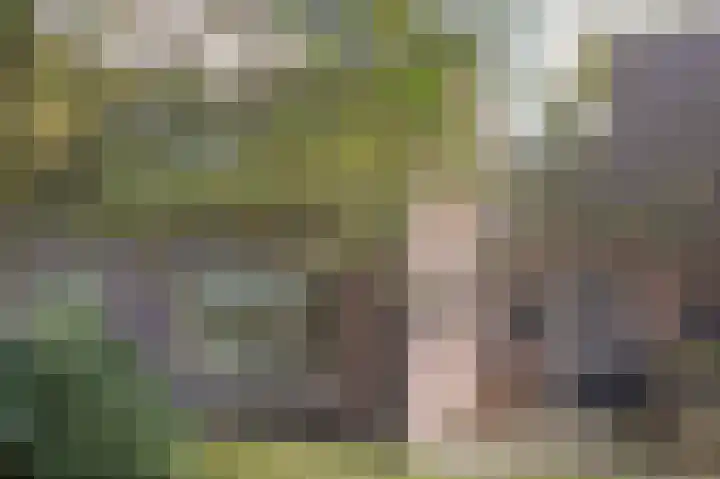 Witte Menweg 3 Geesbrug thumbnail 44