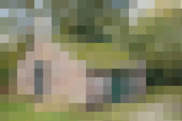 Witte Menweg 3 Geesbrug thumbnail 46