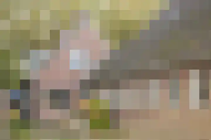 Witte Menweg 3 Geesbrug thumbnail 5