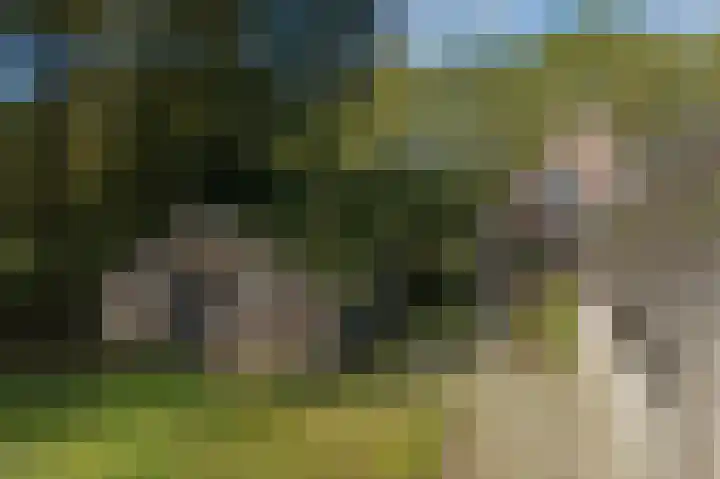 Witte Menweg 3 Geesbrug thumbnail 54