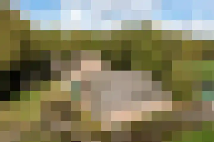 Witte Menweg 3 Geesbrug thumbnail 58