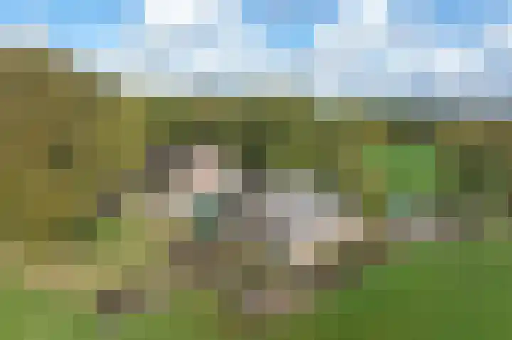Witte Menweg 3 Geesbrug thumbnail 59