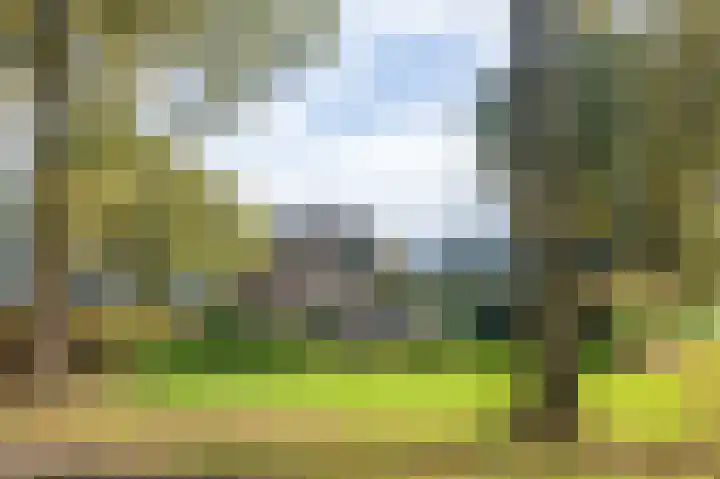 Witte Menweg 3 Geesbrug thumbnail 6