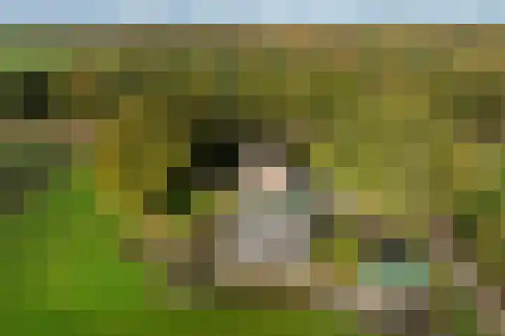 Witte Menweg 3 Geesbrug thumbnail 60