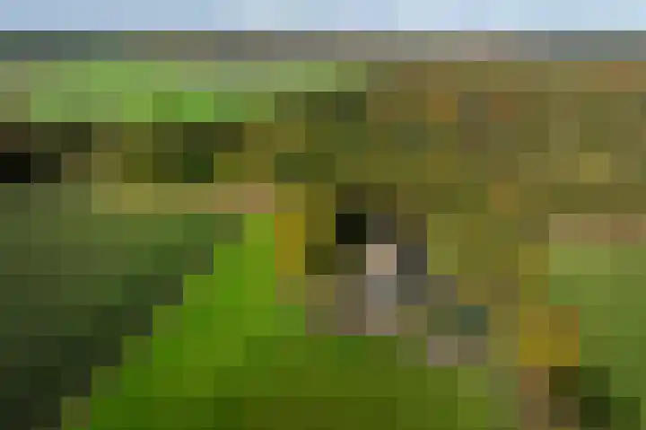 Witte Menweg 3 Geesbrug thumbnail 61