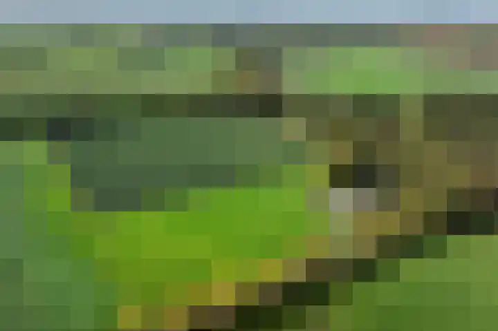 Witte Menweg 3 Geesbrug thumbnail 63