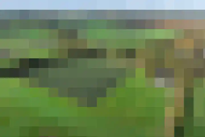 Witte Menweg 3 Geesbrug thumbnail 64