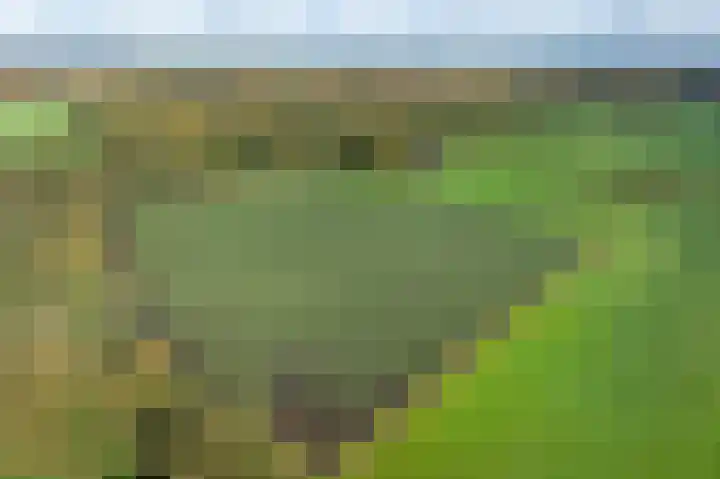 Witte Menweg 3 Geesbrug thumbnail 66