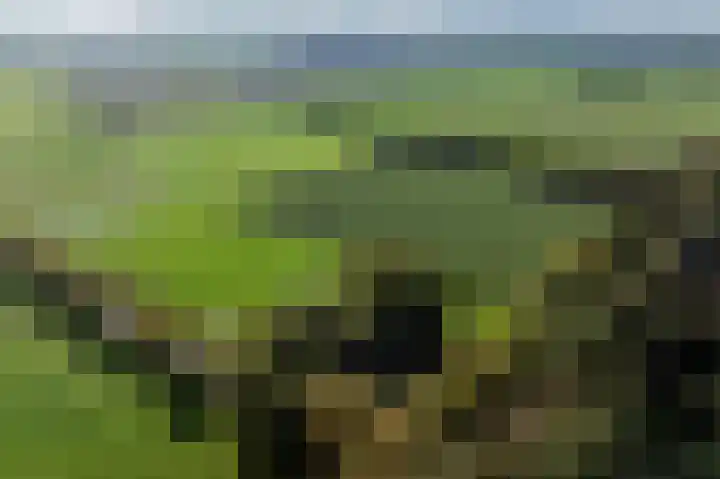 Witte Menweg 3 Geesbrug thumbnail 67