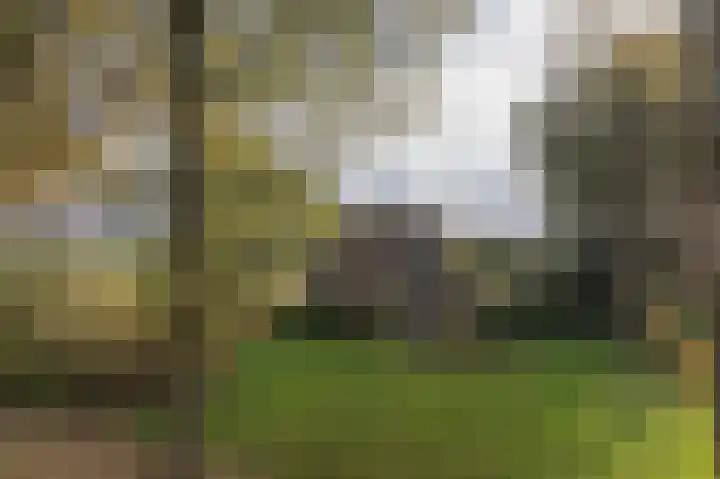 Witte Menweg 3 Geesbrug thumbnail 7