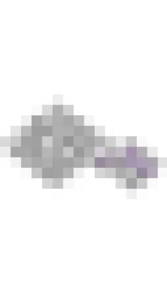 Witte Menweg 3 Geesbrug thumbnail 73