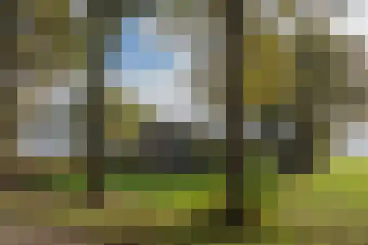 Witte Menweg 3 Geesbrug thumbnail 8