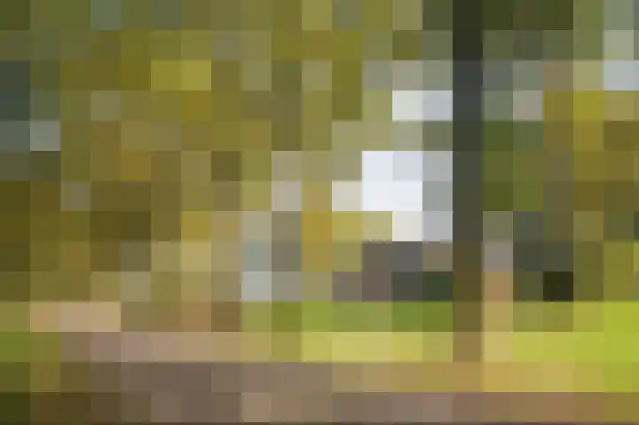Witte Menweg 3 Geesbrug thumbnail 9