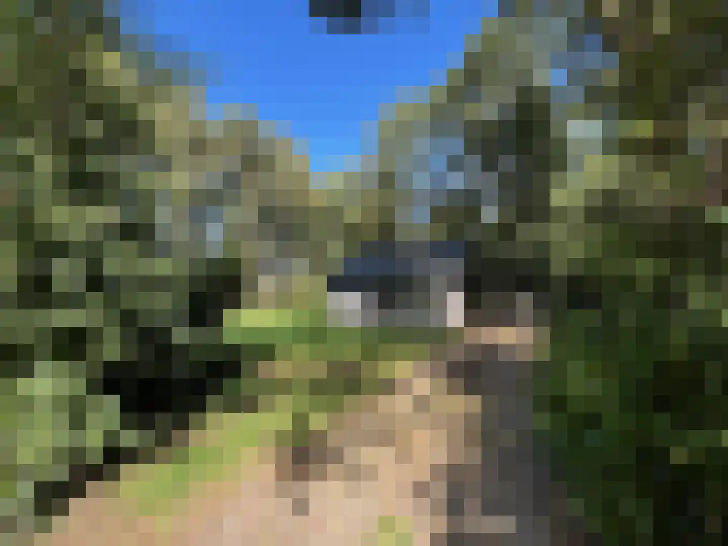 Witte Menweg 4 a 25 Geesbrug thumbnail 11