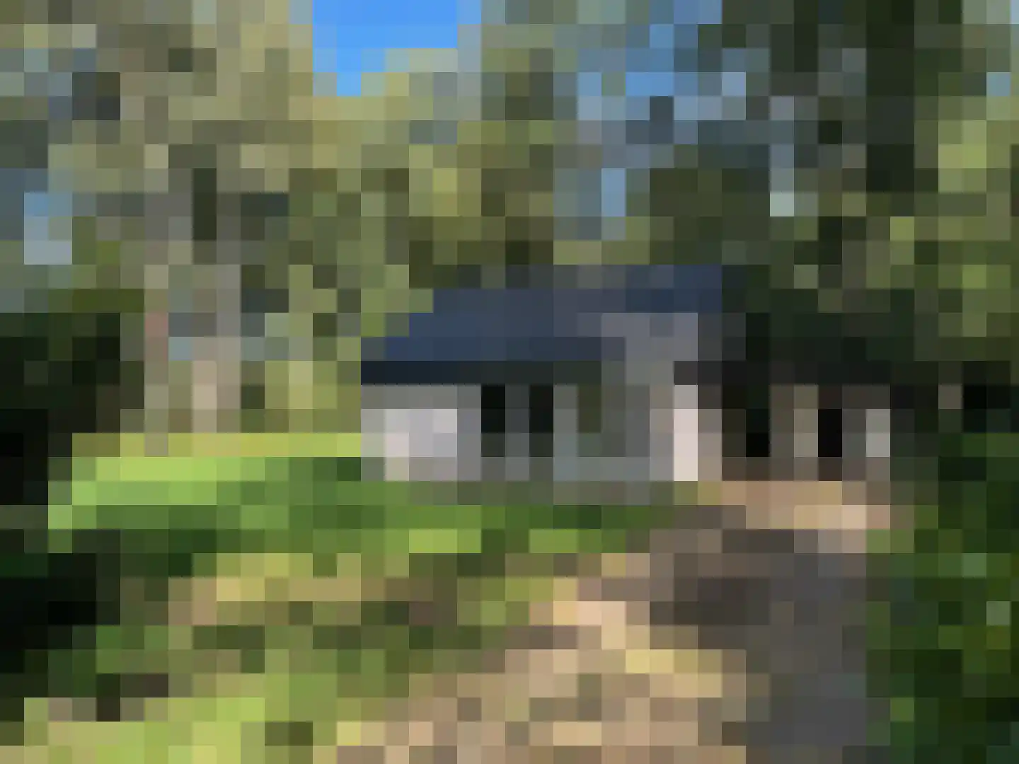 Witte Menweg 4 a 25 Geesbrug thumbnail 12