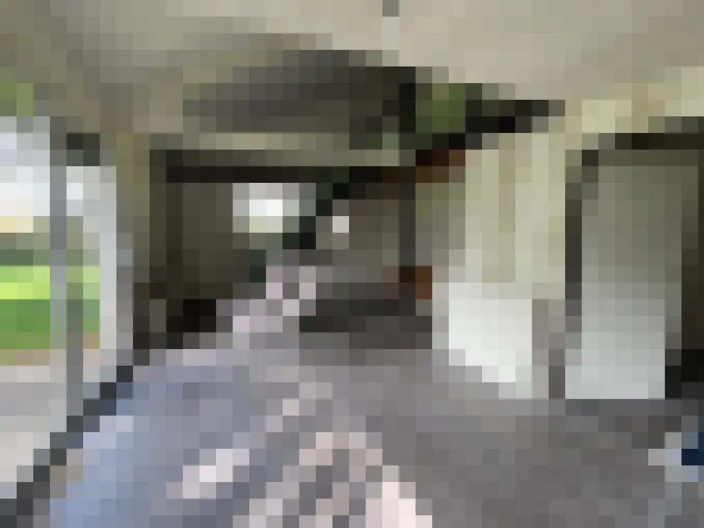 Witte Menweg 4 a 25 Geesbrug thumbnail 4