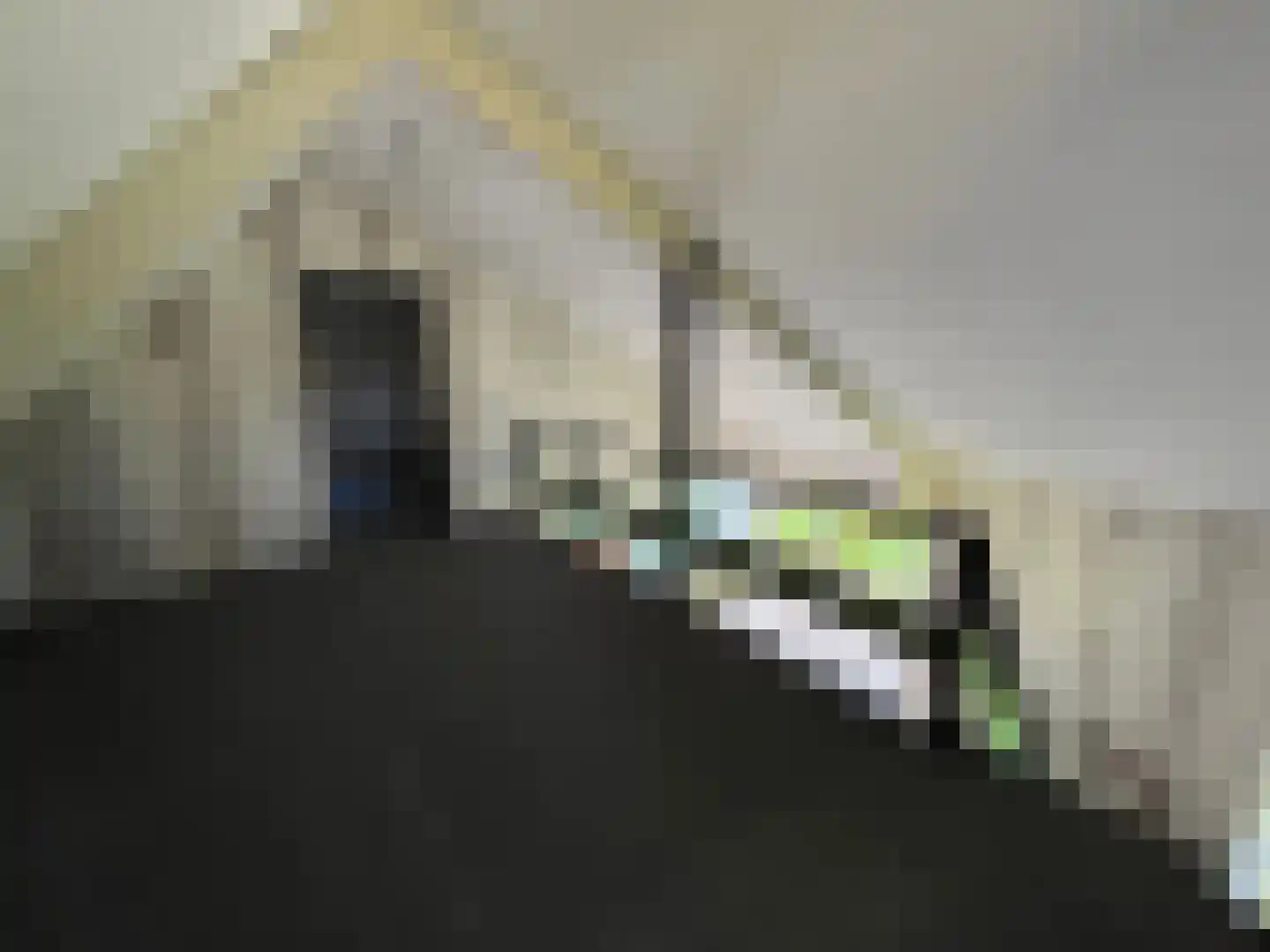 Witte Menweg 4 a 25 Geesbrug thumbnail 7