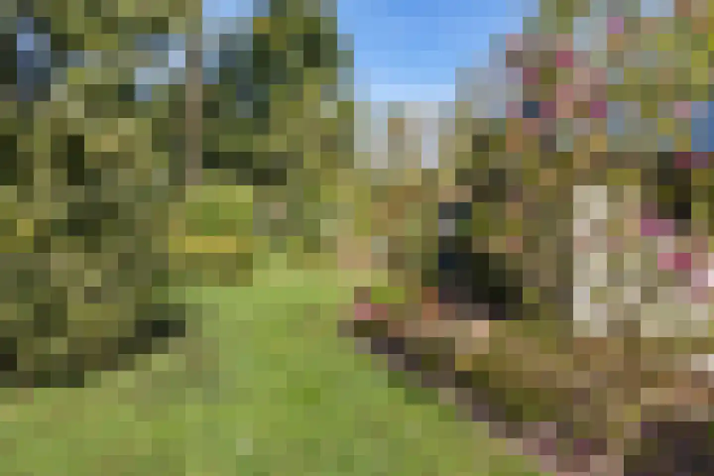 Witte Menweg 4 a 31 Geesbrug thumbnail 25