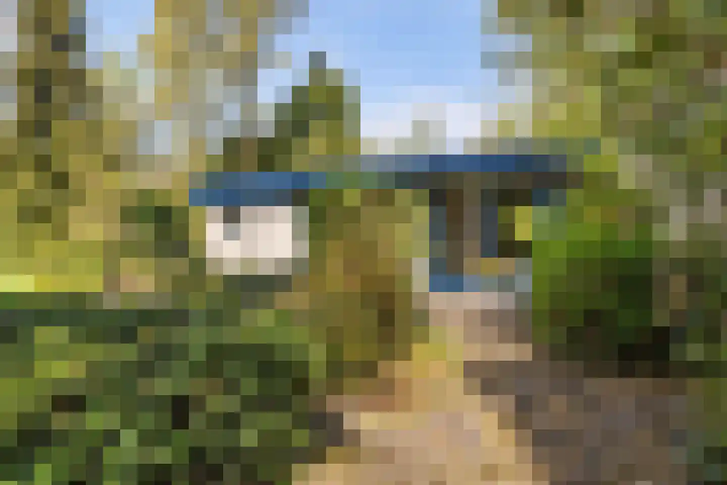 Witte Menweg 4 a 31 Geesbrug thumbnail 27