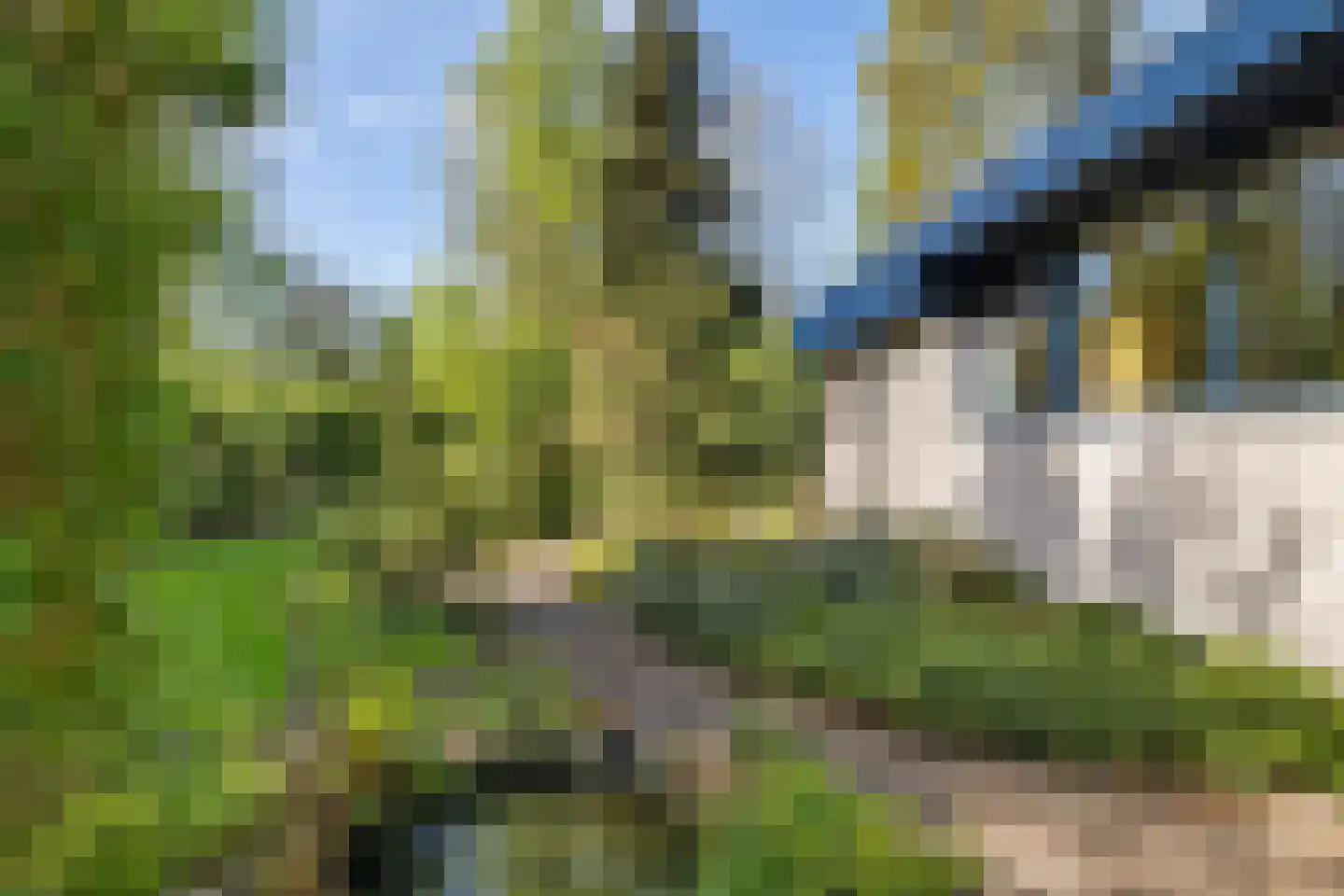 Witte Menweg 4 a 31 Geesbrug thumbnail 29