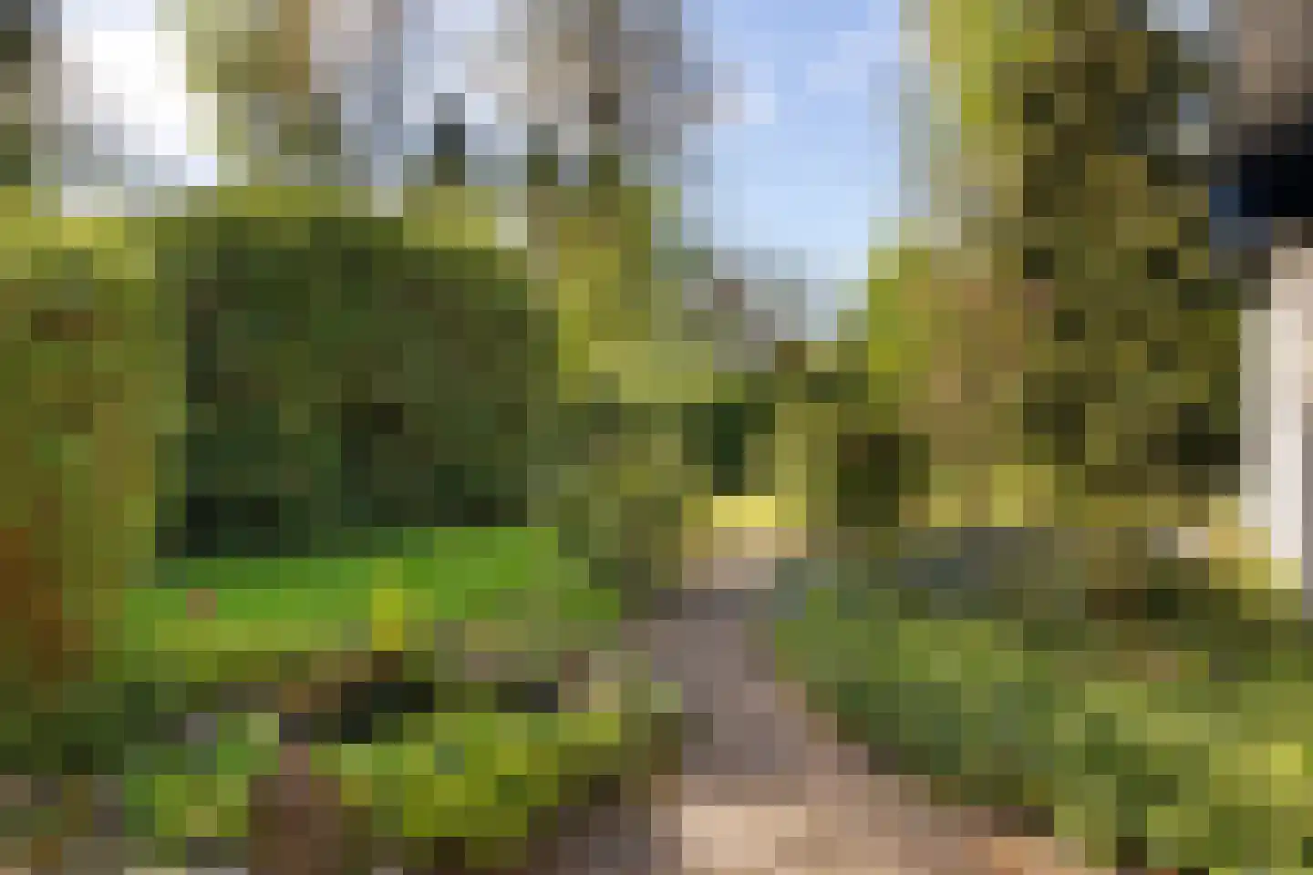 Witte Menweg 4 a 31 Geesbrug thumbnail 30