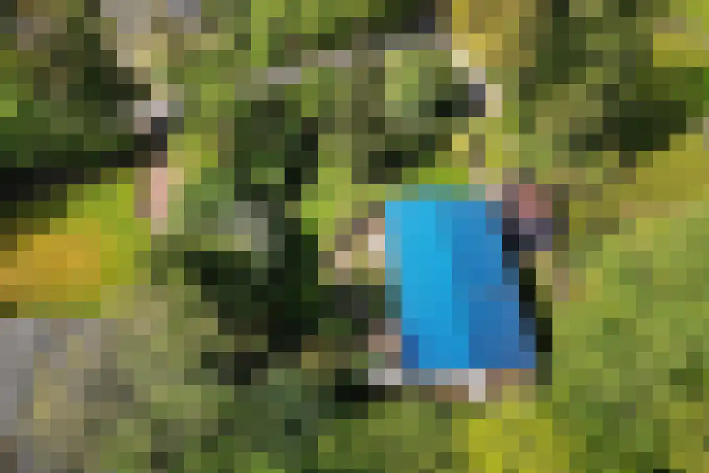 Witte Menweg 4 a 31 Geesbrug thumbnail 34