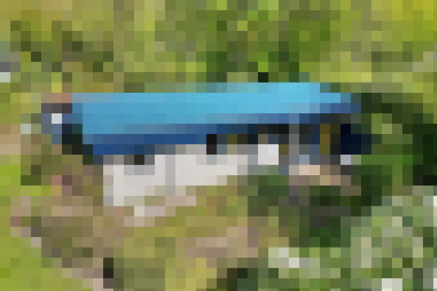 Witte Menweg 4 a 31 Geesbrug thumbnail 36