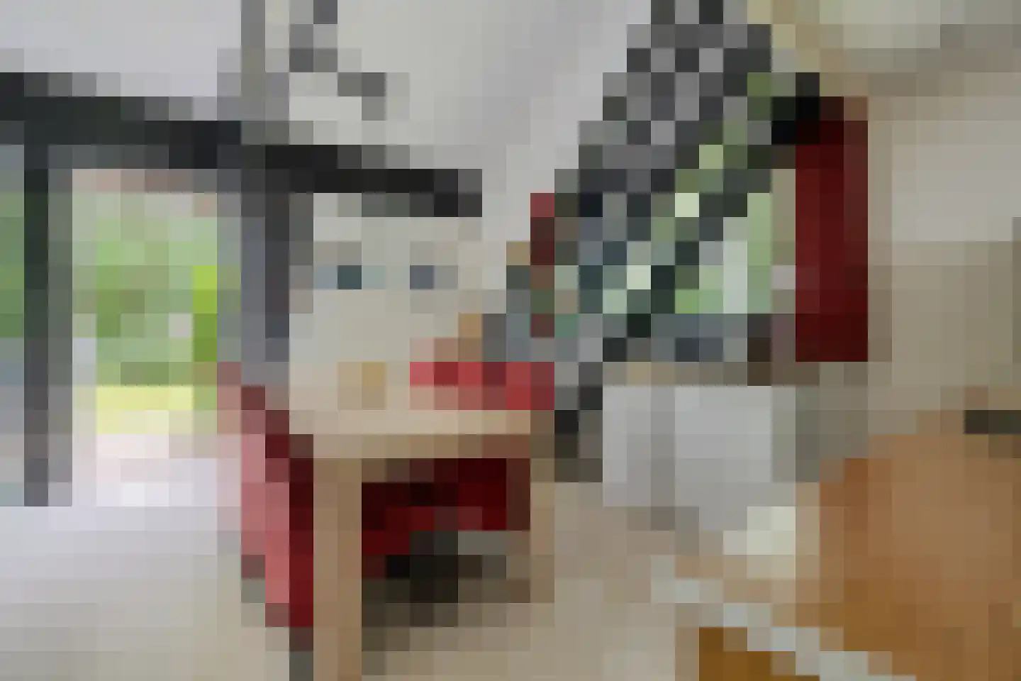 Witte Menweg 4 a 40 Geesbrug thumbnail 10