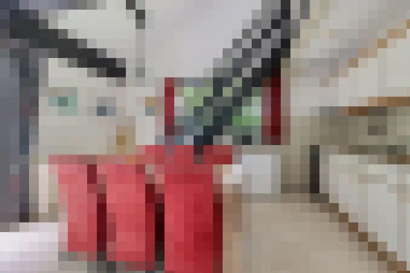 Witte Menweg 4 a 40 Geesbrug thumbnail 11